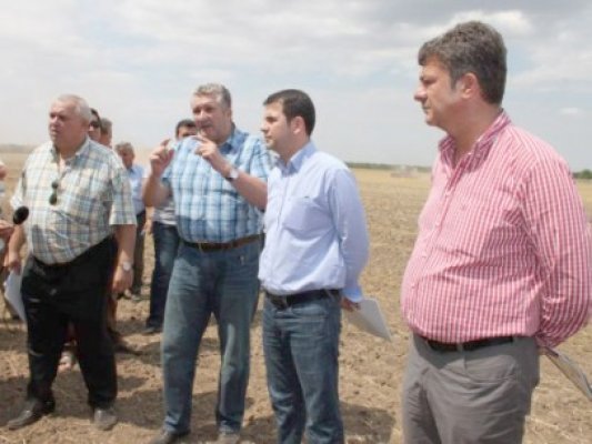 Loviti de secetă, fermierii constănţeni vând vacile pe capete